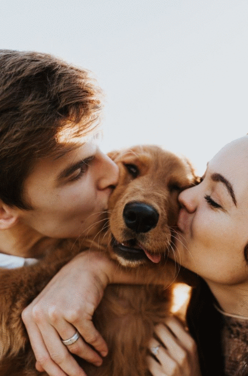 ¡Viaja con tu mascota!🐕